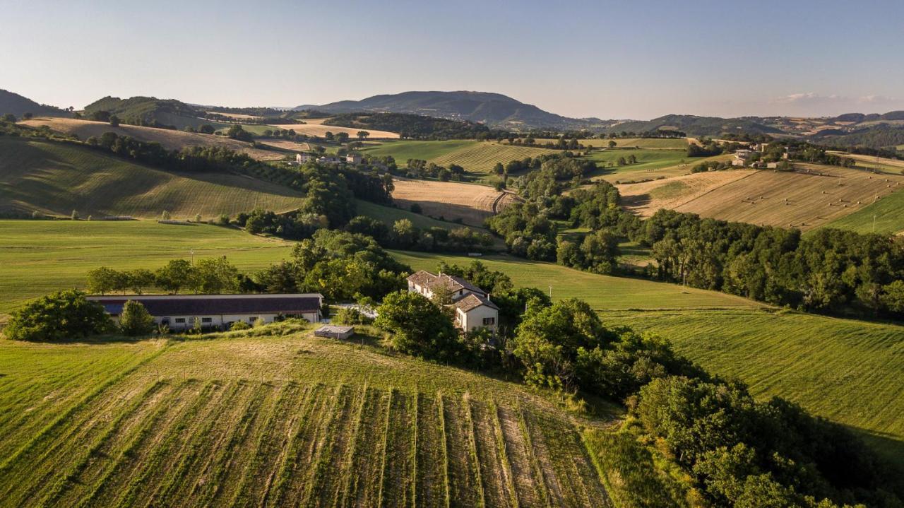 Agriturismo Podere Coldifico Sassoferrato Екстериор снимка