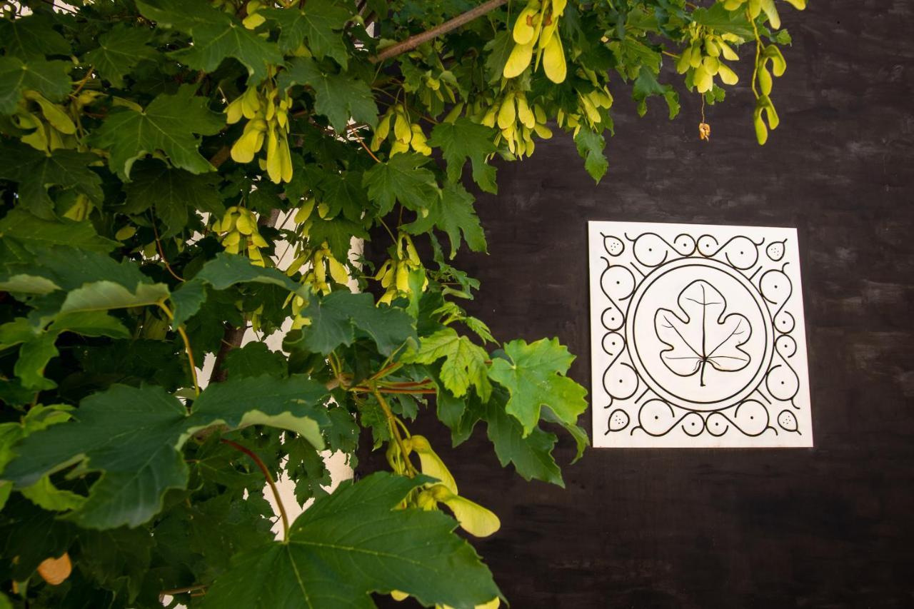 Agriturismo Podere Coldifico Sassoferrato Екстериор снимка
