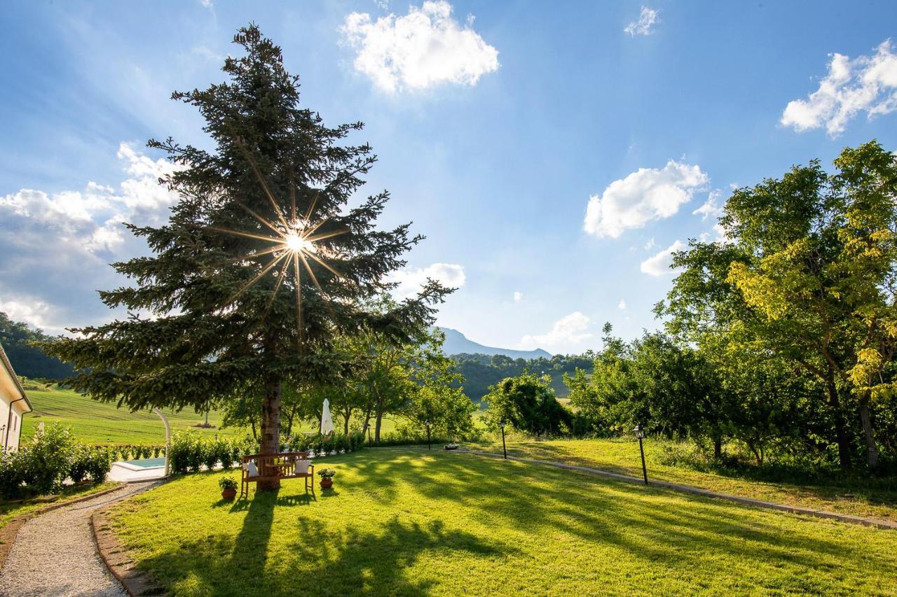 Agriturismo Podere Coldifico Sassoferrato Екстериор снимка