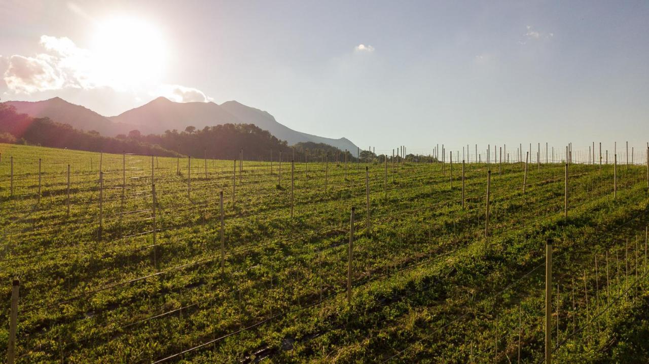 Agriturismo Podere Coldifico Sassoferrato Екстериор снимка